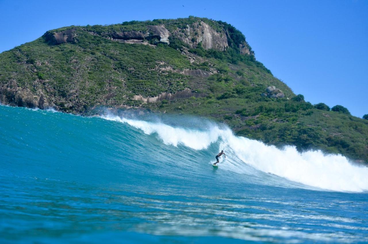 Longboard Paradise Surf Club *